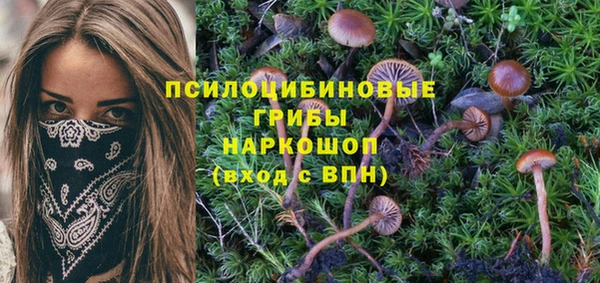 не бодяженный Баксан