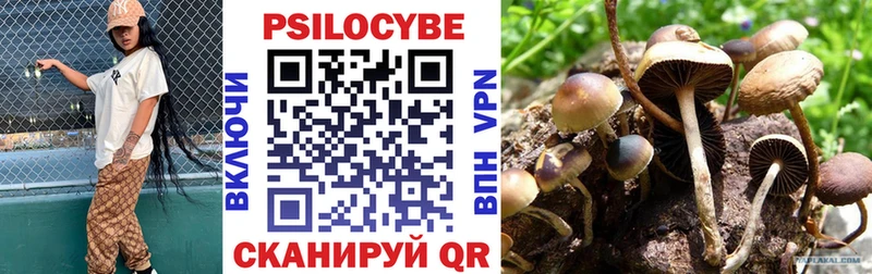 Псилоцибиновые грибы Psilocybe  Болохово 